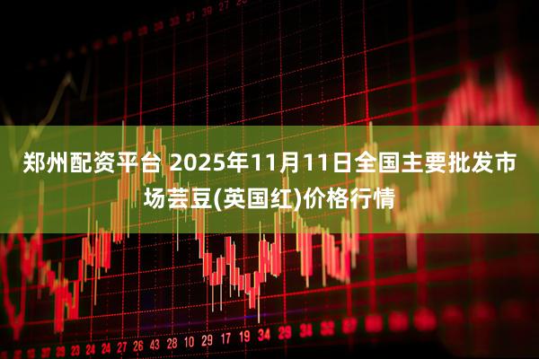 郑州配资平台 2025年11月11日全国主要批发市场芸豆(英国红)价格行情