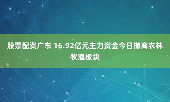 股票配资广东 16.92亿元主力资金今日撤离农林牧渔板块
