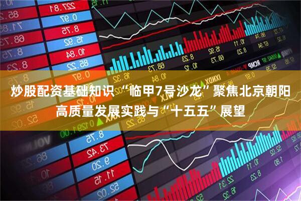 炒股配资基础知识 “临甲7号沙龙”聚焦北京朝阳高质量发展实践与“十五五”展望