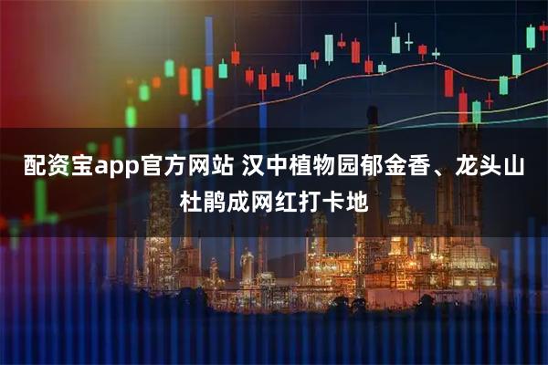 配资宝app官方网站 汉中植物园郁金香、龙头山杜鹃成网红打卡地