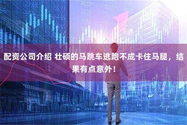 配资公司介绍 壮硕的马跳车逃跑不成卡住马腿，结果有点意外！